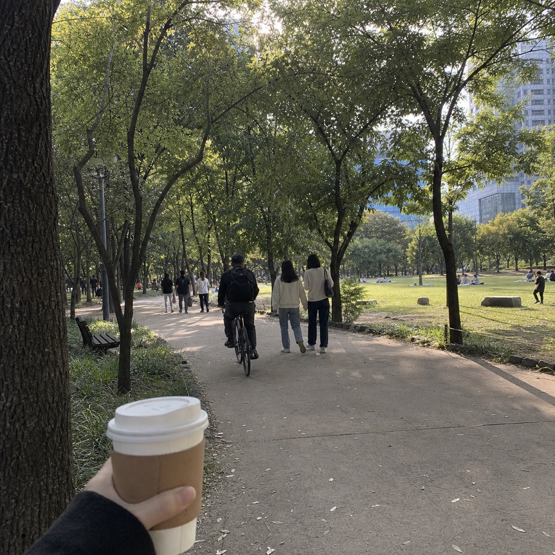 Seoul Forest Park
