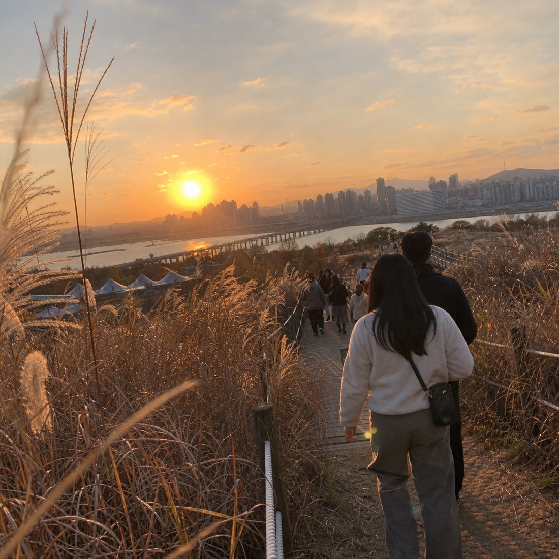 Haneul Park